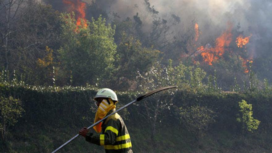 Con la ayuda de la Unidad Militar de Emergencias (UME), Galicia ha redoblado sus esfuerzos para intentar sofocar el incendio forestal que desde ayer se registra en las Fragas do Eume y que supera las 700 hectáreas, de ellas 500 de arbolado, según han informado a Efe fuentes de la Xunta. En la zona se mantiene, como medida de precaución, el nivel de alerta 1, el más elevado, por la proximidad de las llamas a viviendas, si bien en estos momentos no se aprecia peligro real.