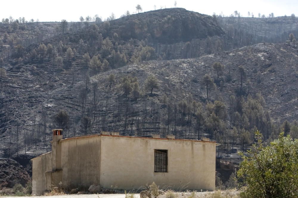 El fuego en los términos de Anna, Chella y Bolbait