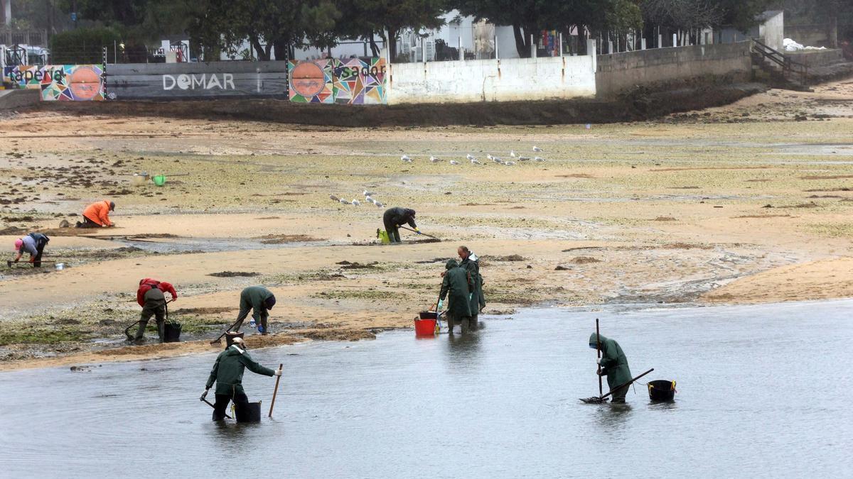 Mariscadoras de Vilanova trabajando en As Sinas antes del paro.