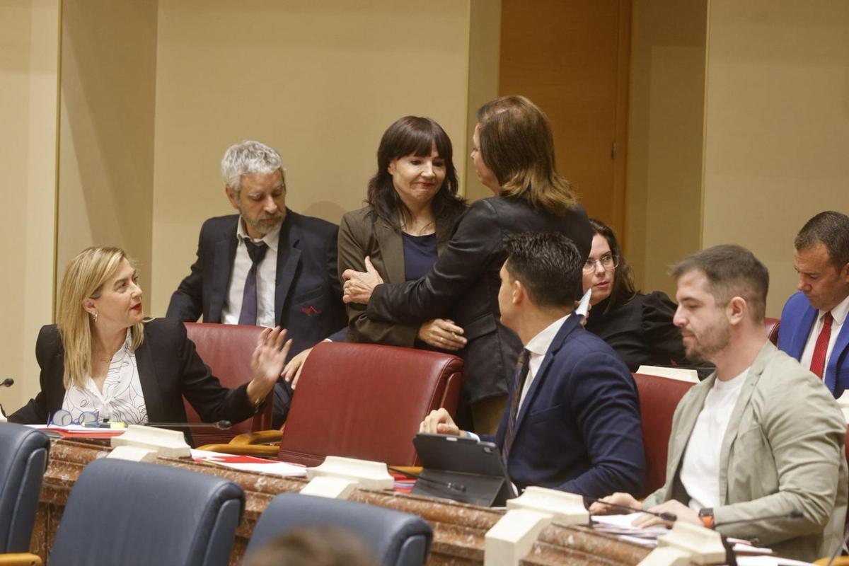 La diputada socialista Marisol Sánchez, tras su intervención en el Pleno de la Asamblea Regional.