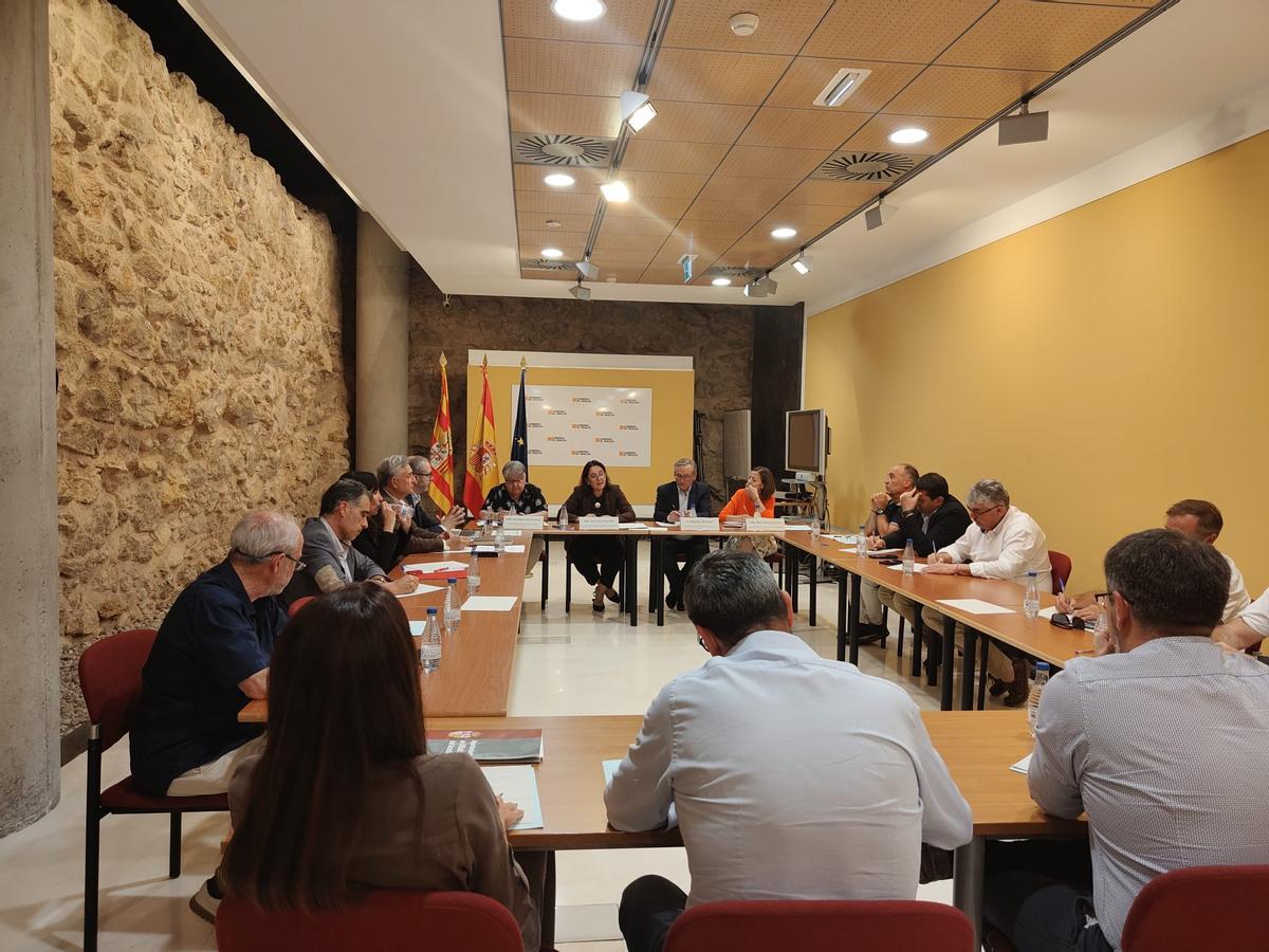 Un instante de la reunión entre el Gobierno de Aragón y representantes sociales y políticos por el Nudo Mudéjar.
