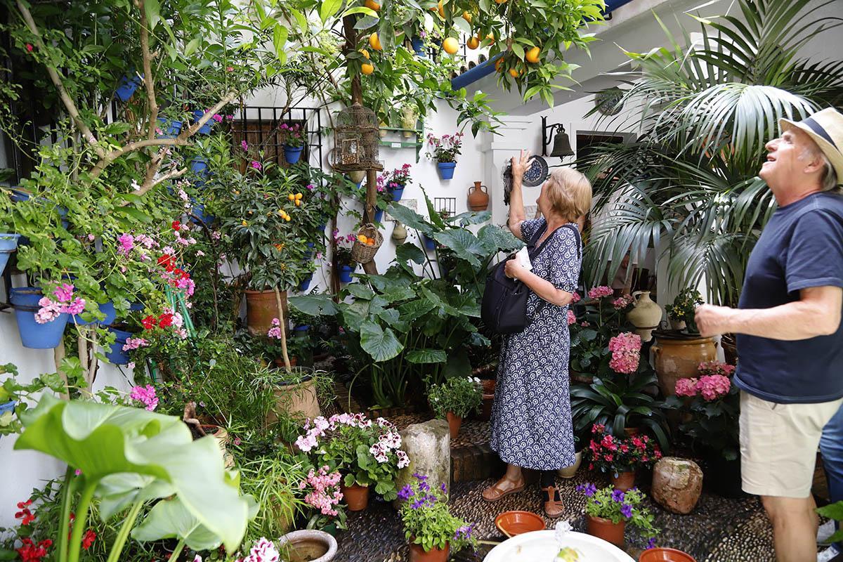 Muchos visitantes en el último día de patios