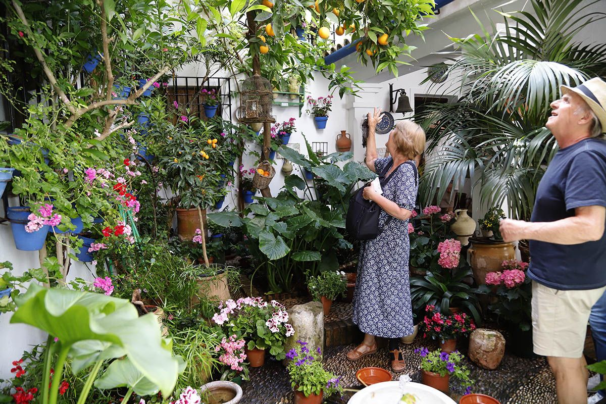 Muchos visitantes en el último día de patios