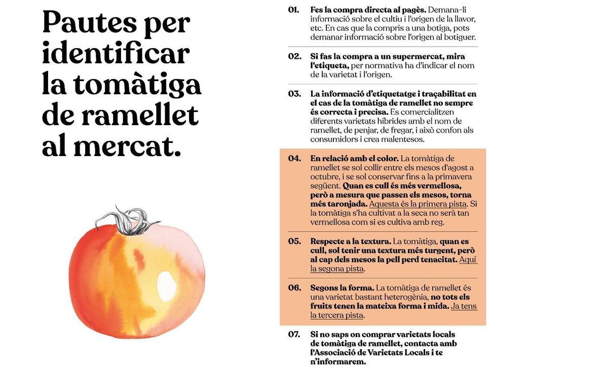 Consejos para identificar el tomate 'de ramellet'