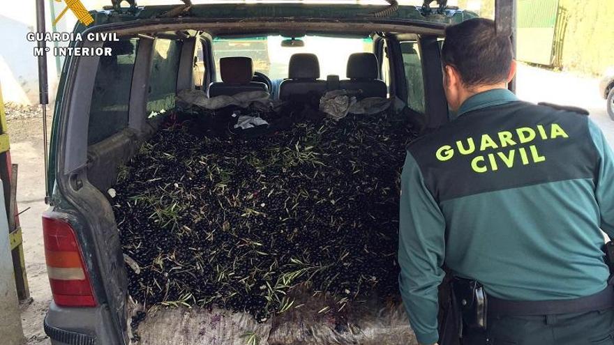 La Guardia Civil desarticula un grupo criminal dedicado al robo de aceituna en la provincia
