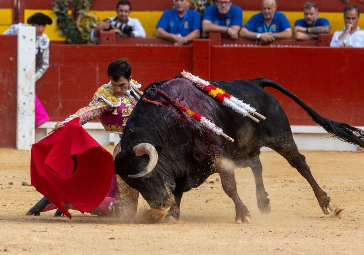El joven matador Samuel Navalón impresionó por su valor seco en su presentación en Alicante. | RAFA ARJONES