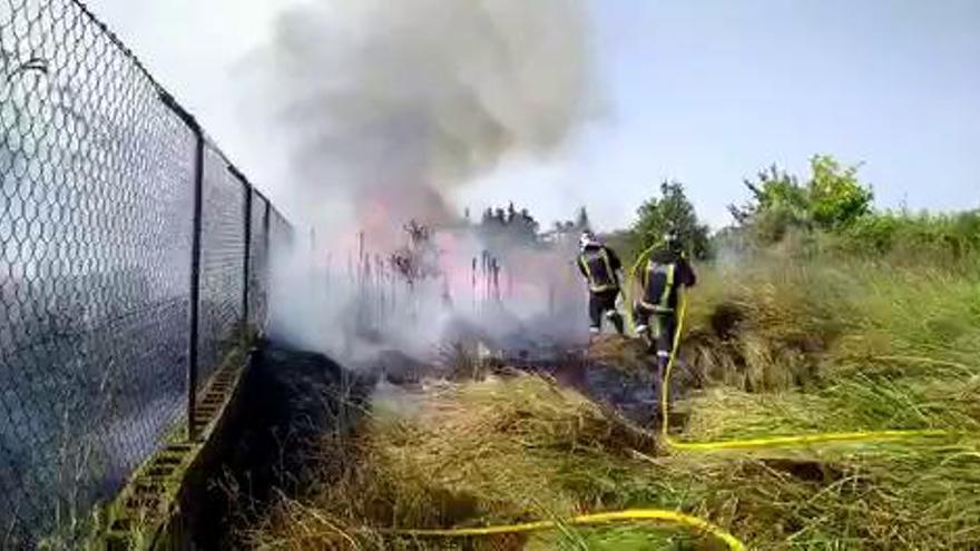 Incendio de matorral en un carril de Beniaján