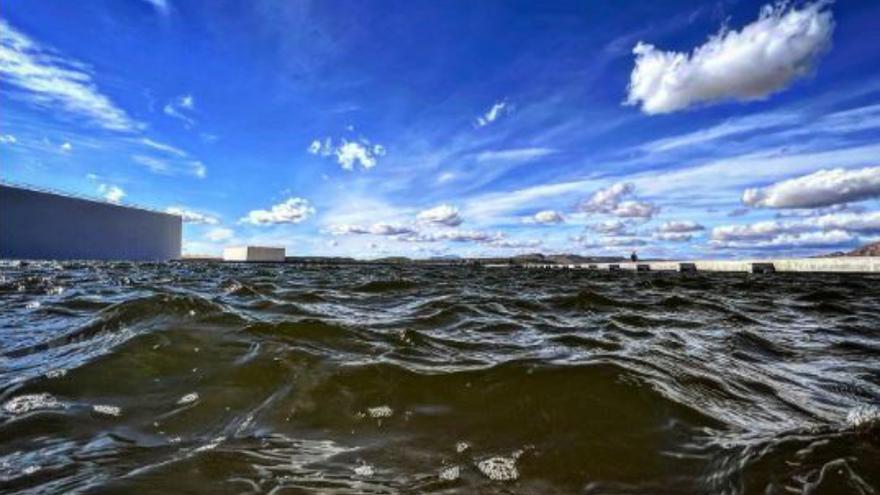 Tiburones en París, la trama de la película que abre la nueva era de Ciudad de la Luz