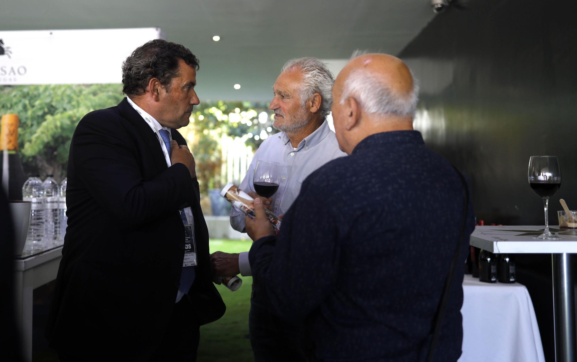 Muestra de garnachas de la DO Campo de Borja