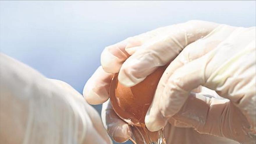 Retirados en Cataluña 50 kilos de huevos en polvo contaminados