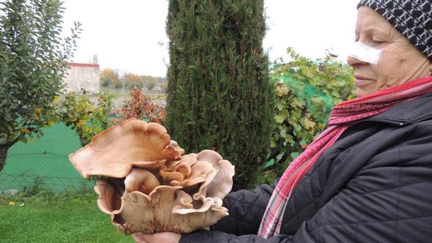 Elena del Prado muestra la seta de cardo recogida en Fuente Encalada.