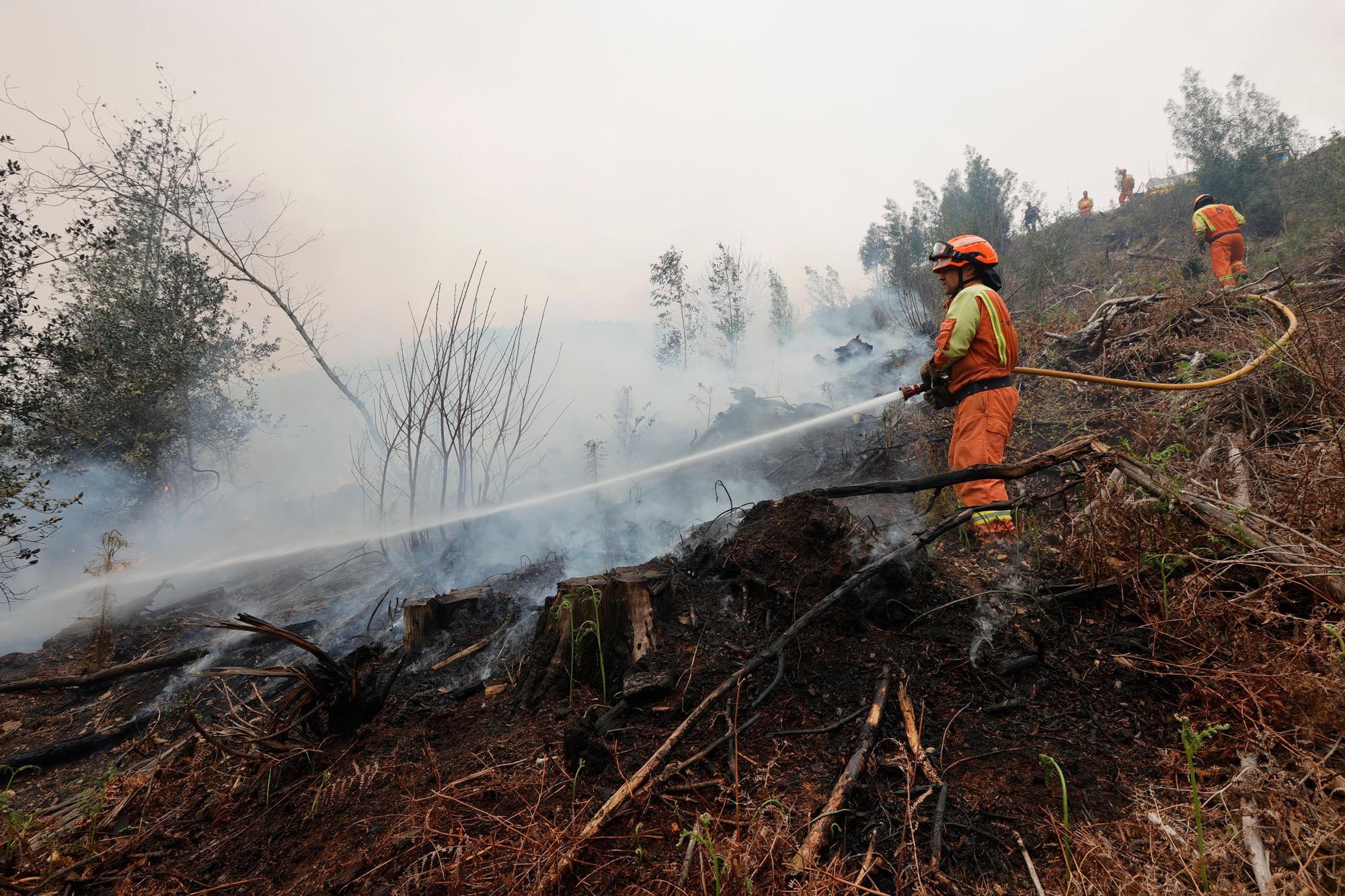 Dura lucha contra los incendios de Tineo y Valdés