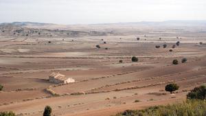 Aspecte dels Monegres.