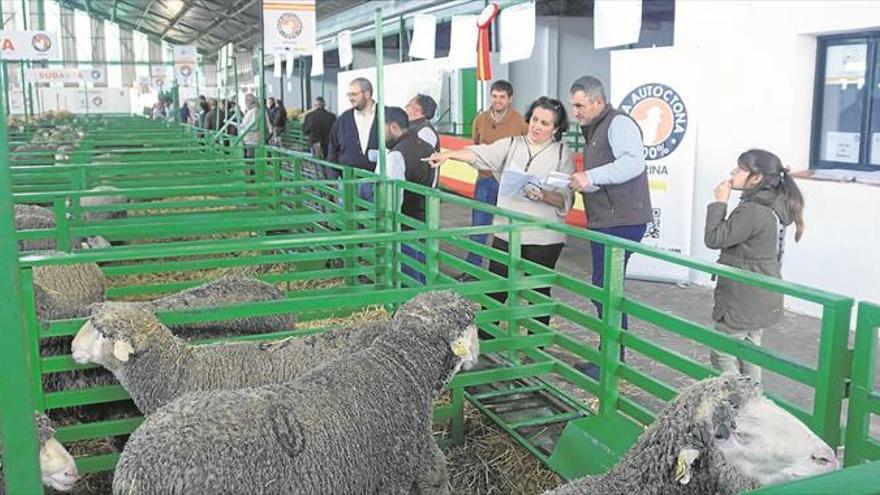 Nuevos retos de la agricultura y ganadería extremeña y el medio rural