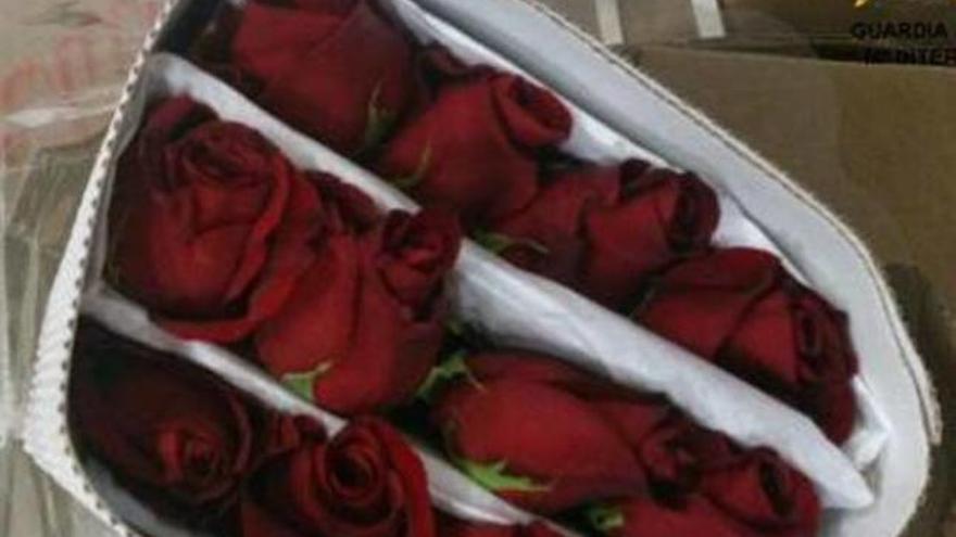 Intervienen treinta kilos de cocaína ocultos en rosas que venían a Mallorca