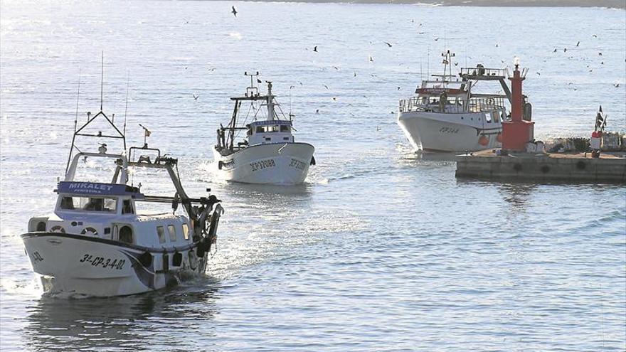El Consell dragará en primavera el puerto tras pedirlo los pescadores