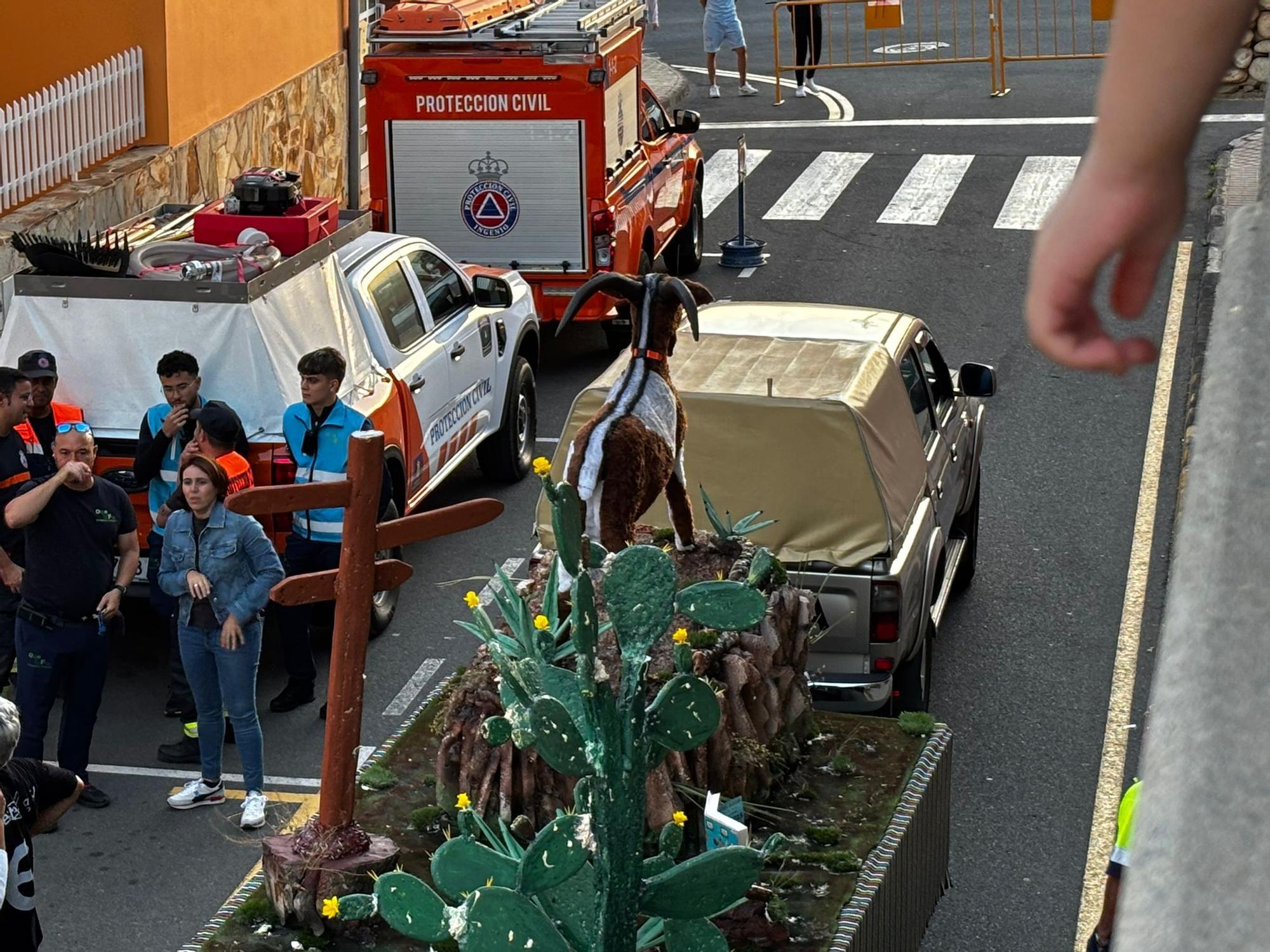 La baja del macho vuelve a Ingenio tras más de una década