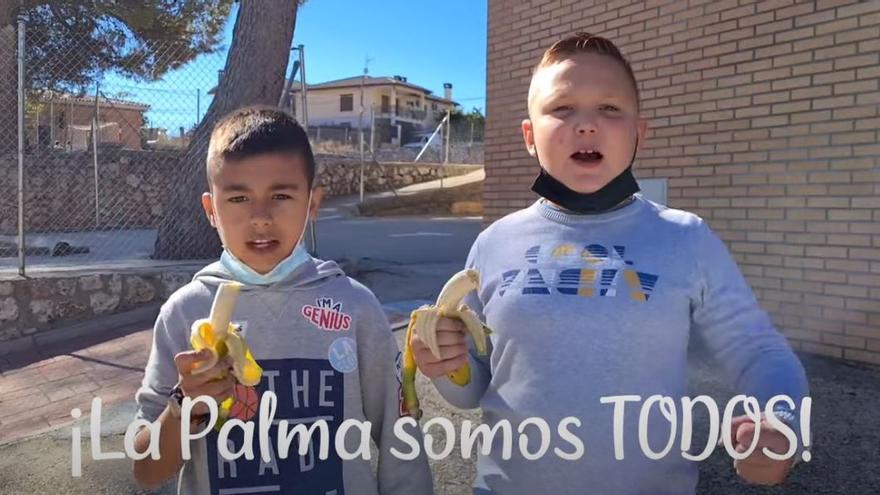 La acción solidaria de un cole de Guadalajara con La Palma que se ha hecho viral