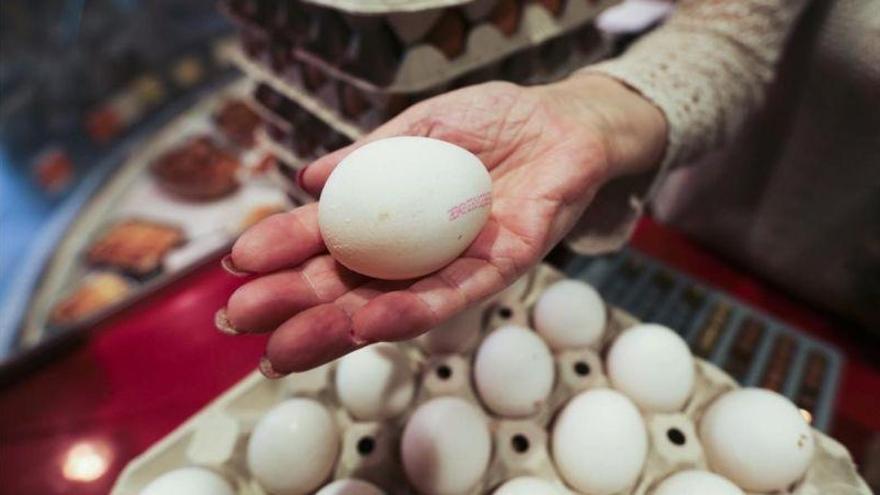 Francia da la espalda a los huevos de gallinas criadas en jaulas