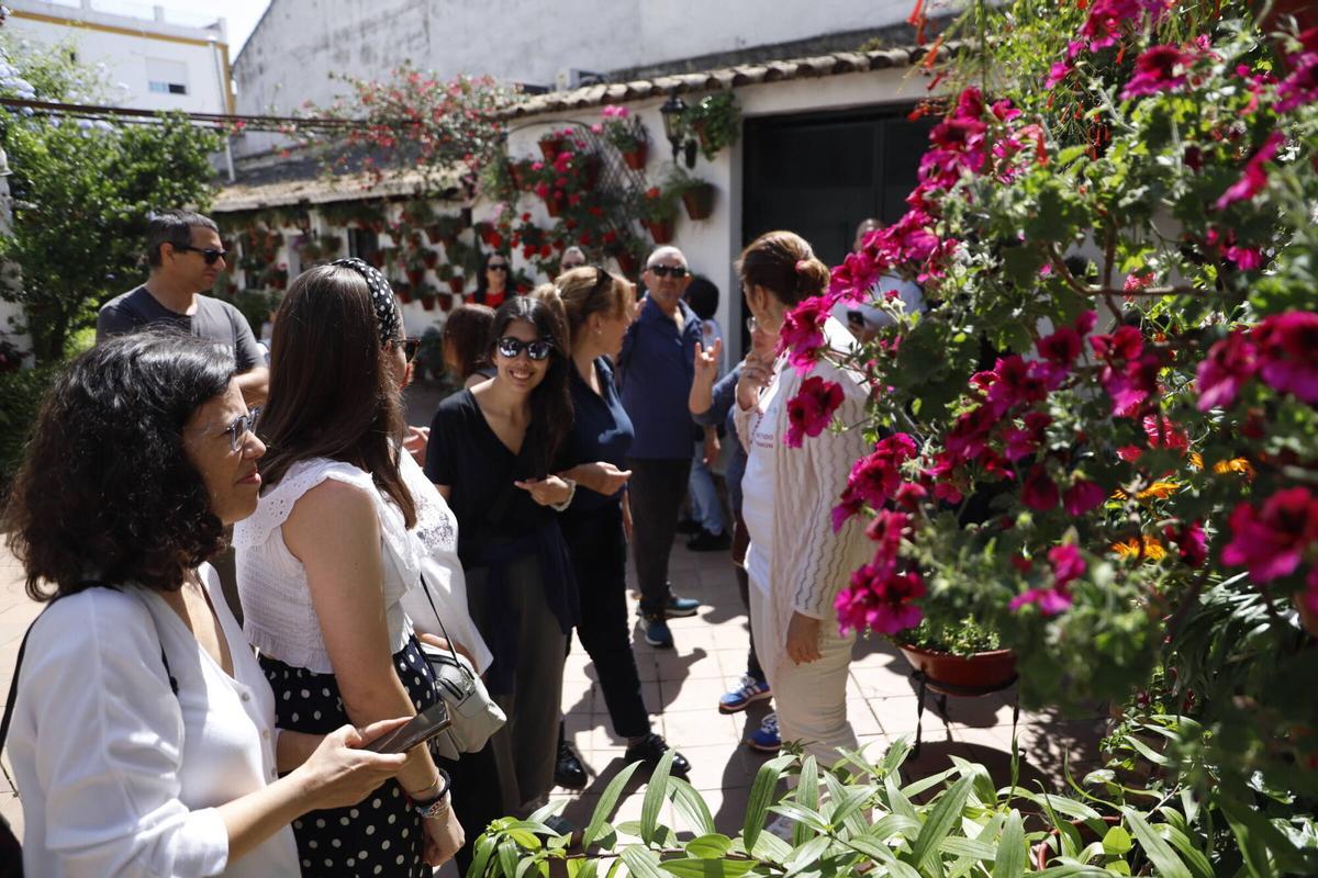 La ruta de los patios de San Lorenzo, en imágenes