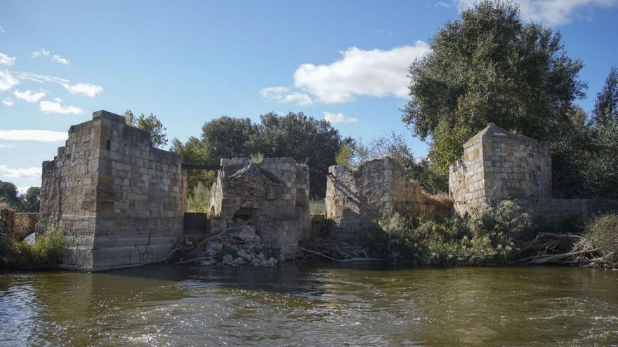 Aceñas de Gijón, con las edificaciones prácticamente en ruinas. | Jose Luis Fernández (Archivo)