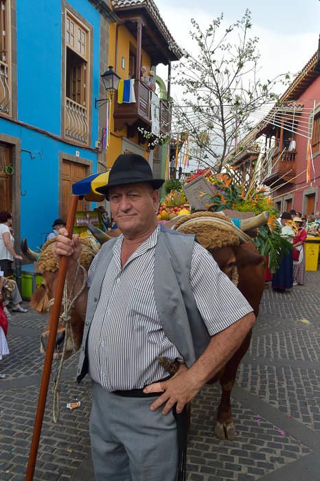 Carretas y grupos en la romería del Pino