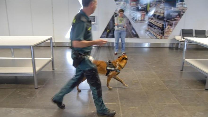 Unidad canina de la Guardia Civil