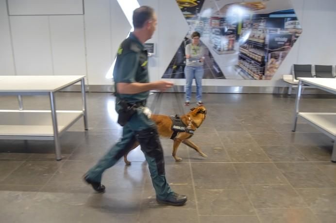 REPORTAJE UNIDAD CANINA AEROPUETO DE GRAN CANARIA