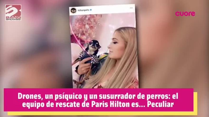 El equipo de rescate de Paris Hilton incluye: drones, psíquicos y un susurrador de perros