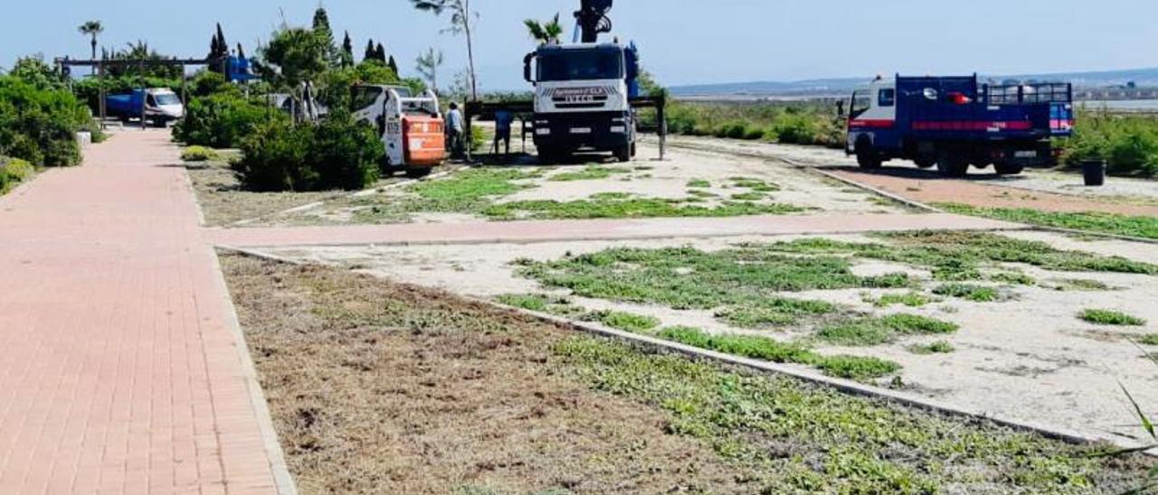 Los trabajos realizados por el Ayuntamiento en el parque de El Pinet para mejorar su estado. | INFORMACIÓN