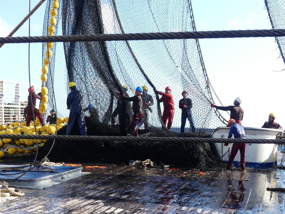 Trabajos a bordo de un buque atunero