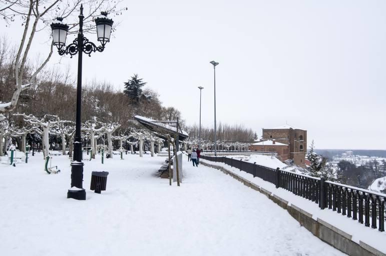 Así ha sido la nevada en Benavente.