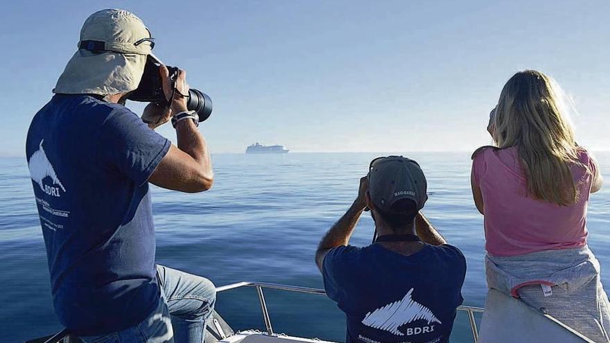 Bruno Díaz y otros integrantes de su equipo durante una jornada de seguimiento de delfines. // BDRI