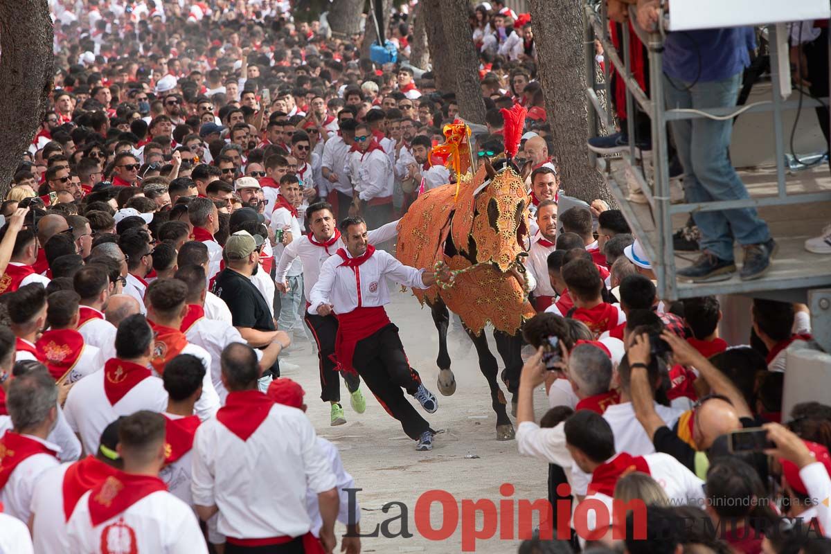 Así ha sido la carrera de los Caballos del Vino en Caravaca