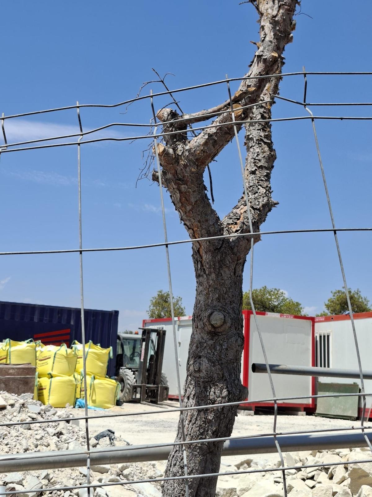 El PSOE alerta de que Alicante es un "polvorín" en pleno riesgo extremo de incendios