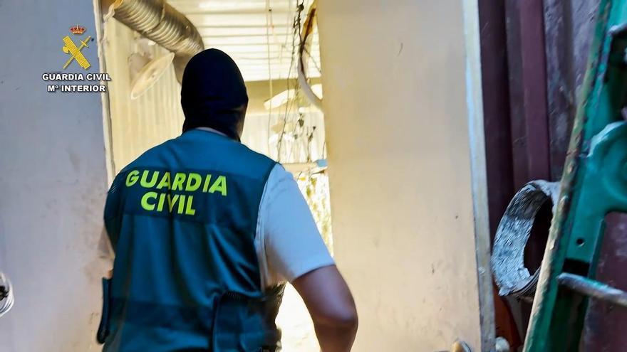 Operación Garnata de la Guardia Civil contra el cultivo de marihuana
