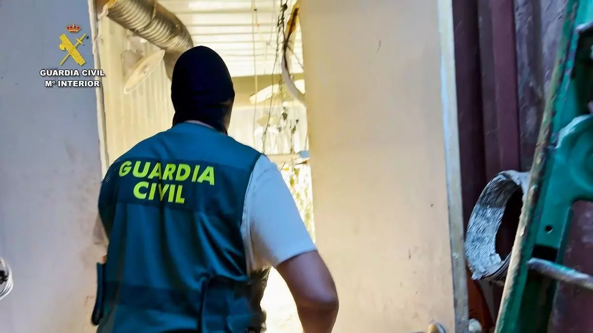 Marihuana en contenedores marítimos enterrados: la Guardia Civil descubre una nueva forma de cultivo de los narcos