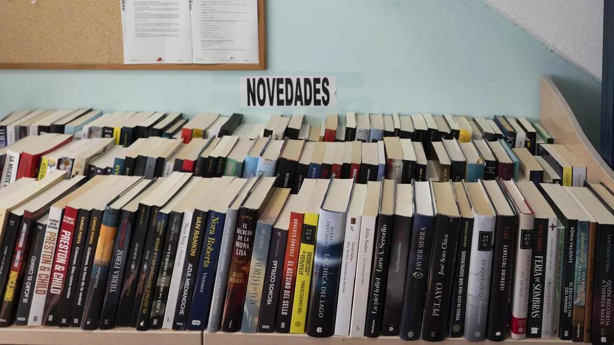 Ejemplares de libros en una biblioteca de Mogán.