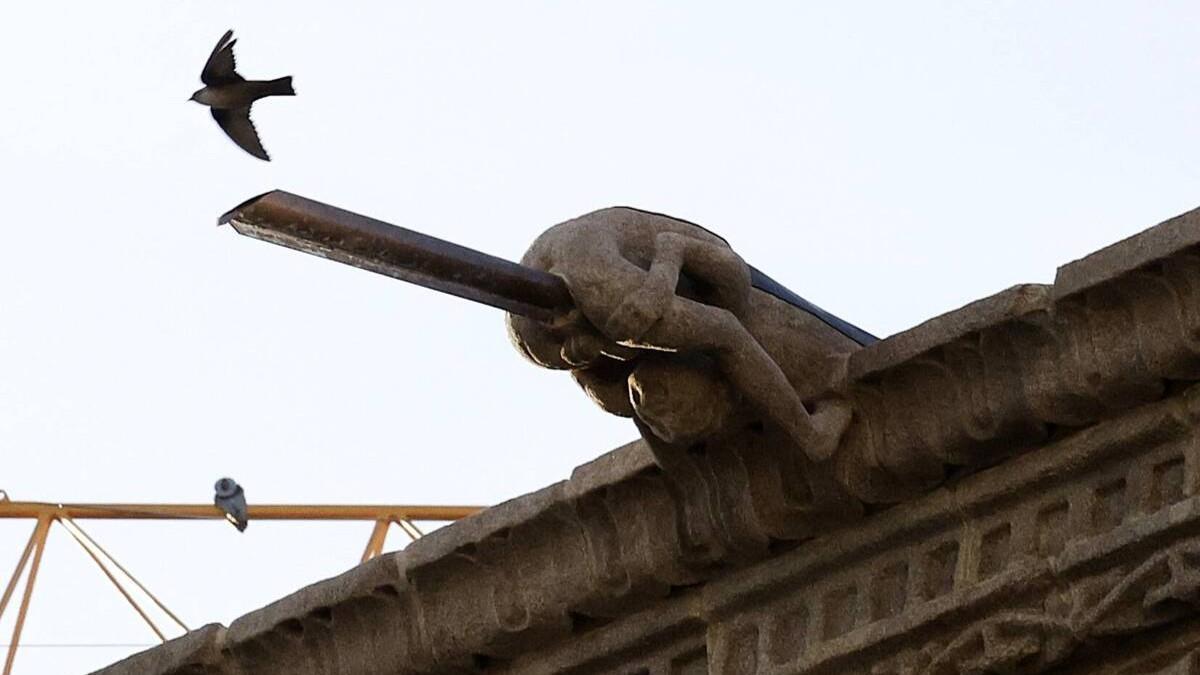 La gárgola que hizo saltar la polémica, que representa a un joven en posición acrobática que expulsa el agua por el ano