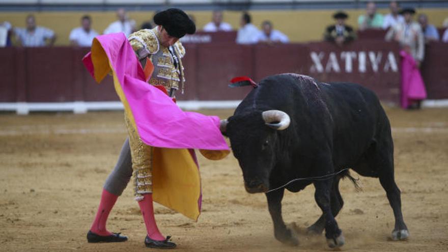 Los protaurinos dan por hecho que habrá corridas de toros en la próxima Fira d´Agost