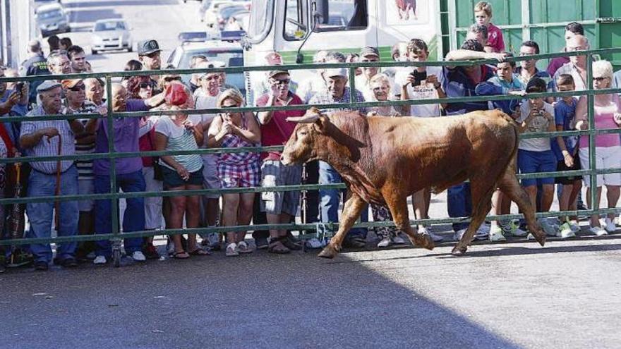 Encierro urbano en las fiestas de La Bóveda.