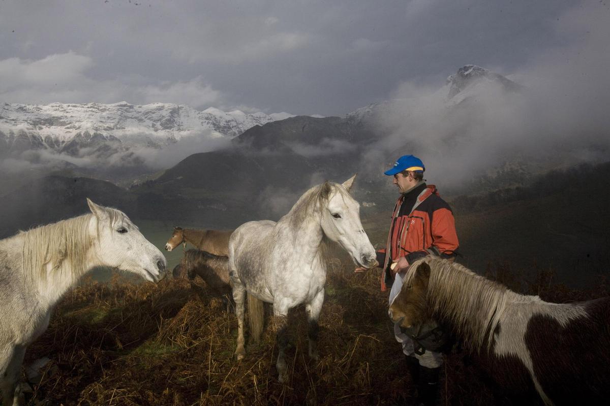 Ganadero con caballos en Cabrales.