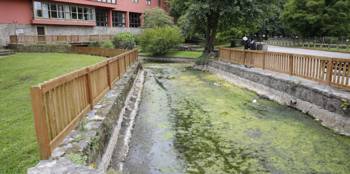 Una vista del Canal del Molín, en el parque de Isabel la Católica. | ÁNGEL GONZÁLEZ