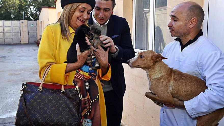 Una visita de la presidenta de la Diputación al CANN.