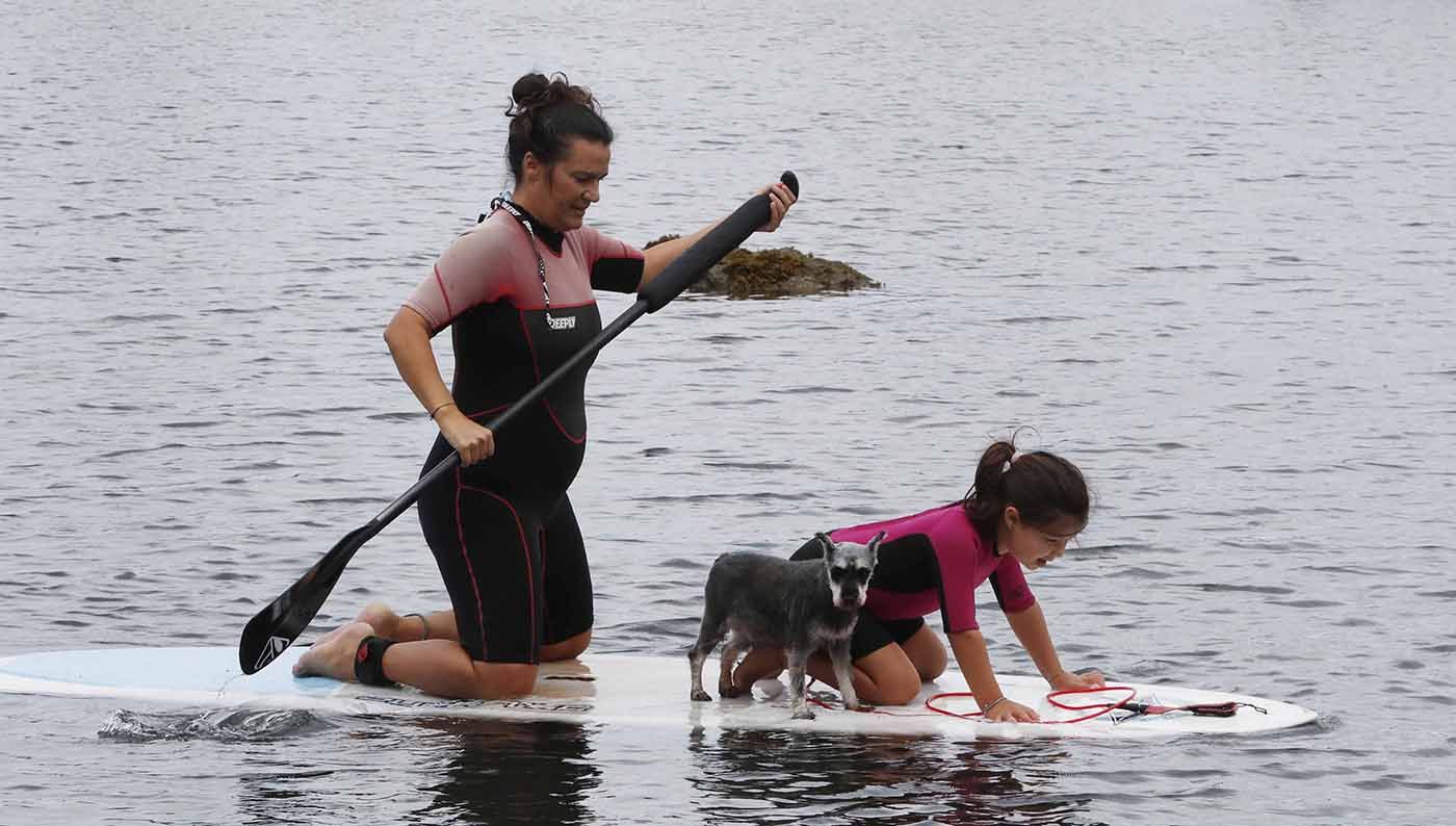 A la tendencia al alza de practicar pilates y yoga en el mar, se suman ahora las mascotas