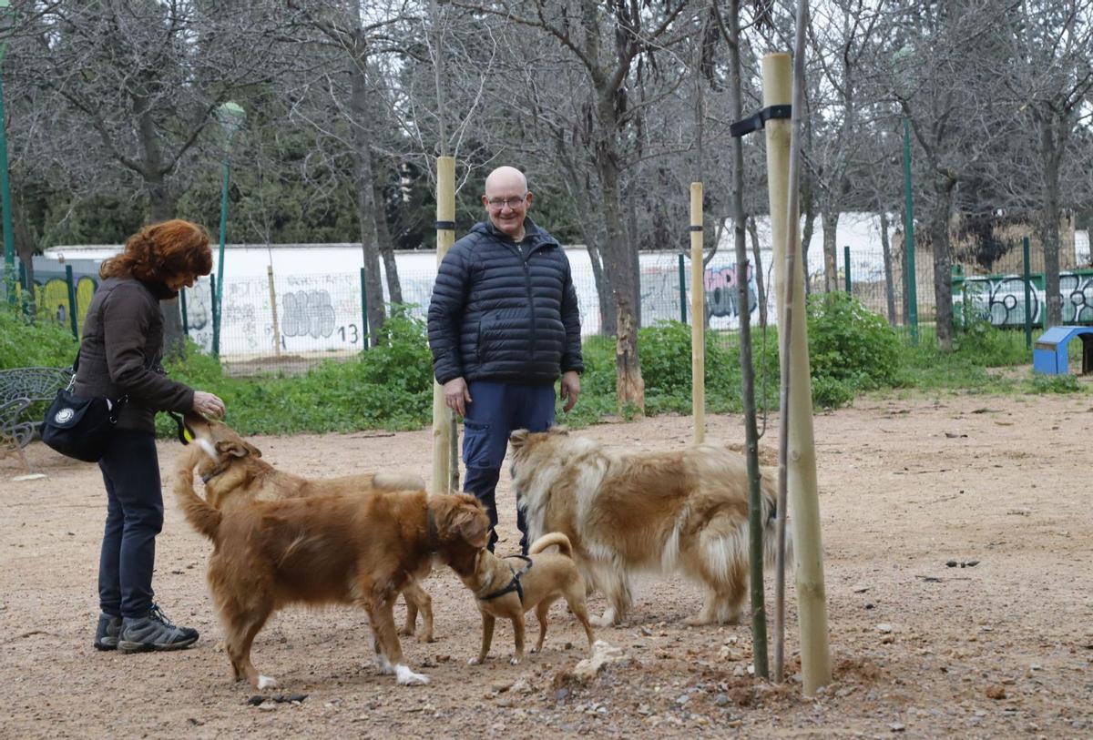 Un perro en una zona de esparcimiento canino. | A.J. GONZÁLEZ