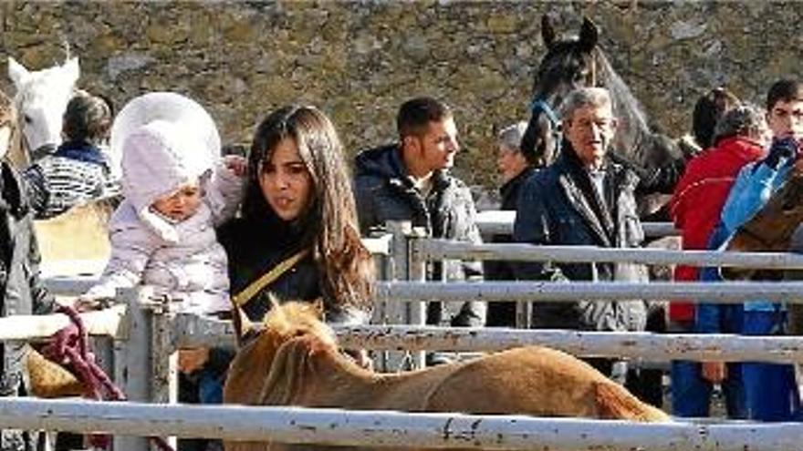 Torroella de Montgrí La Fira de Sant Andreu