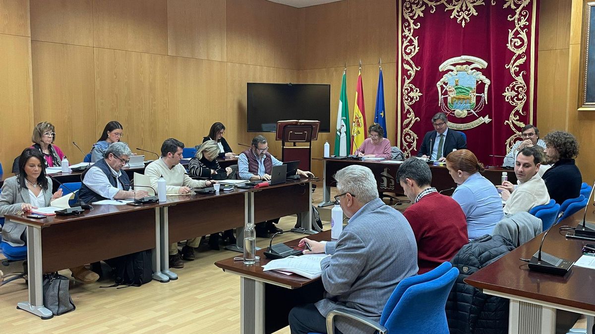 Imagen del pleno celebrado en Puente Genil.