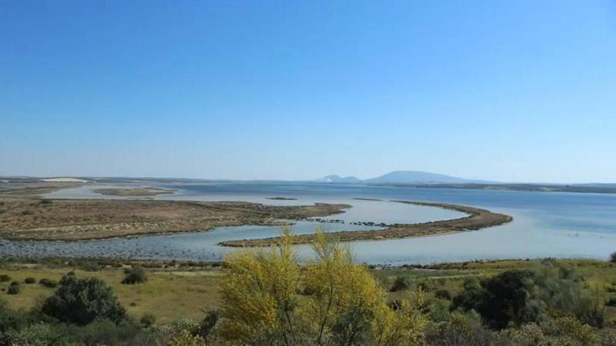 Cuatro municipios de la comarca de Antequera prohíben llenar piscinas y regar huertos ante la situación “crítica” de los acuíferos