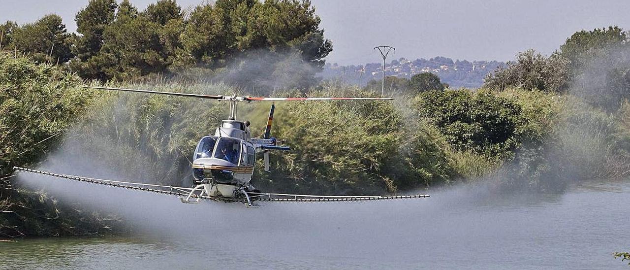 Sanidad deniega el tratamiento aéreo contra la mosca negra en el Xúquer